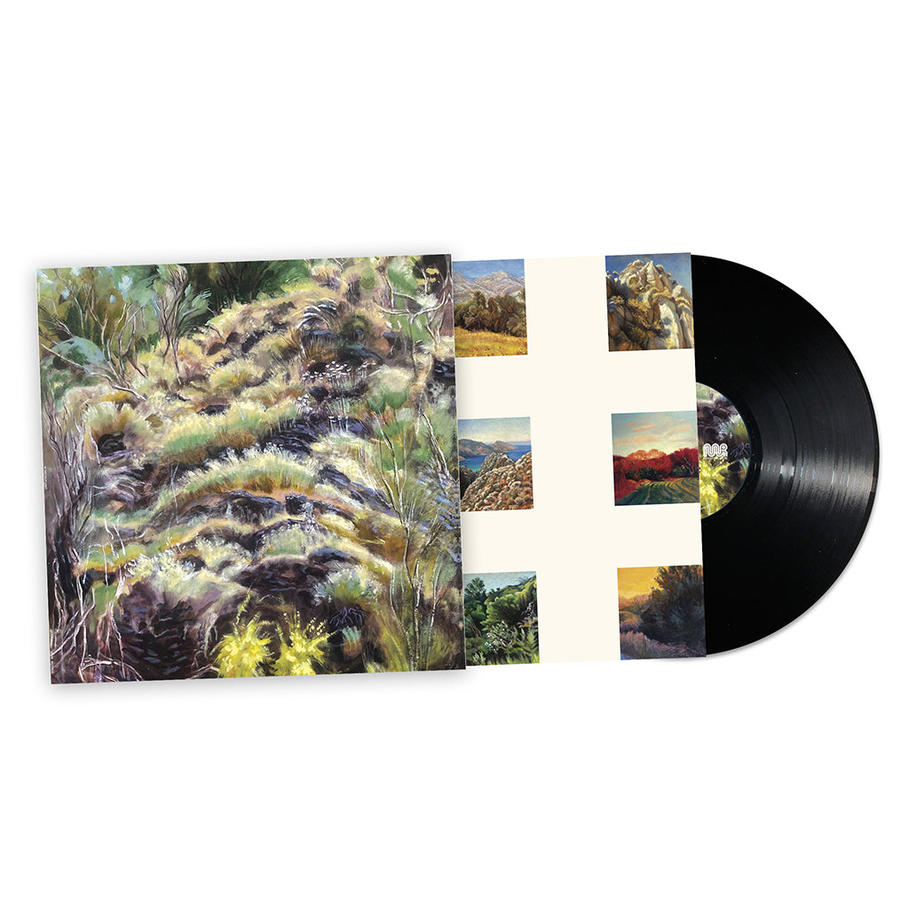 SWIM SURREAL - In The Half Light - LP - Black Bio Vinyl