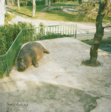TAPE - Preludes - 10" - Vinyl