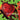 THE BREEDERS - Last Spash (Reissue)