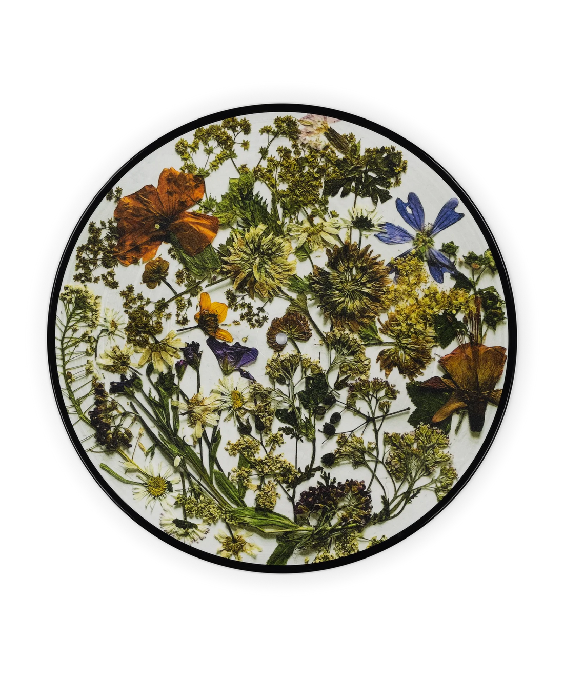 THE LAST DINNER PARTY - Prelude To Ecstasy - LP - Picture Disc Vinyl