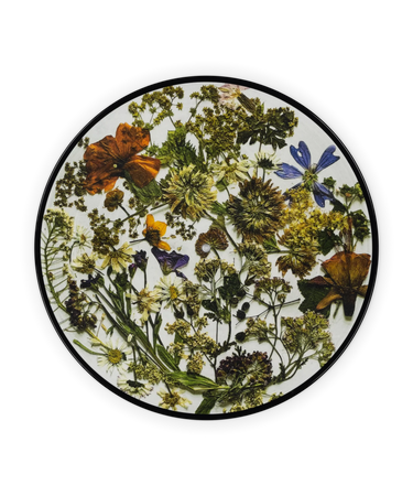 THE LAST DINNER PARTY - Prelude To Ecstasy - LP - Picture Disc Vinyl