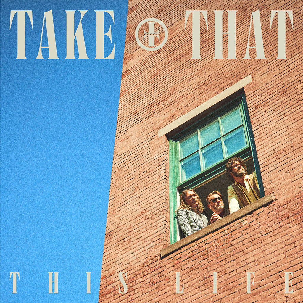 TAKE THAT - This Life - LP - Black Vinyl
