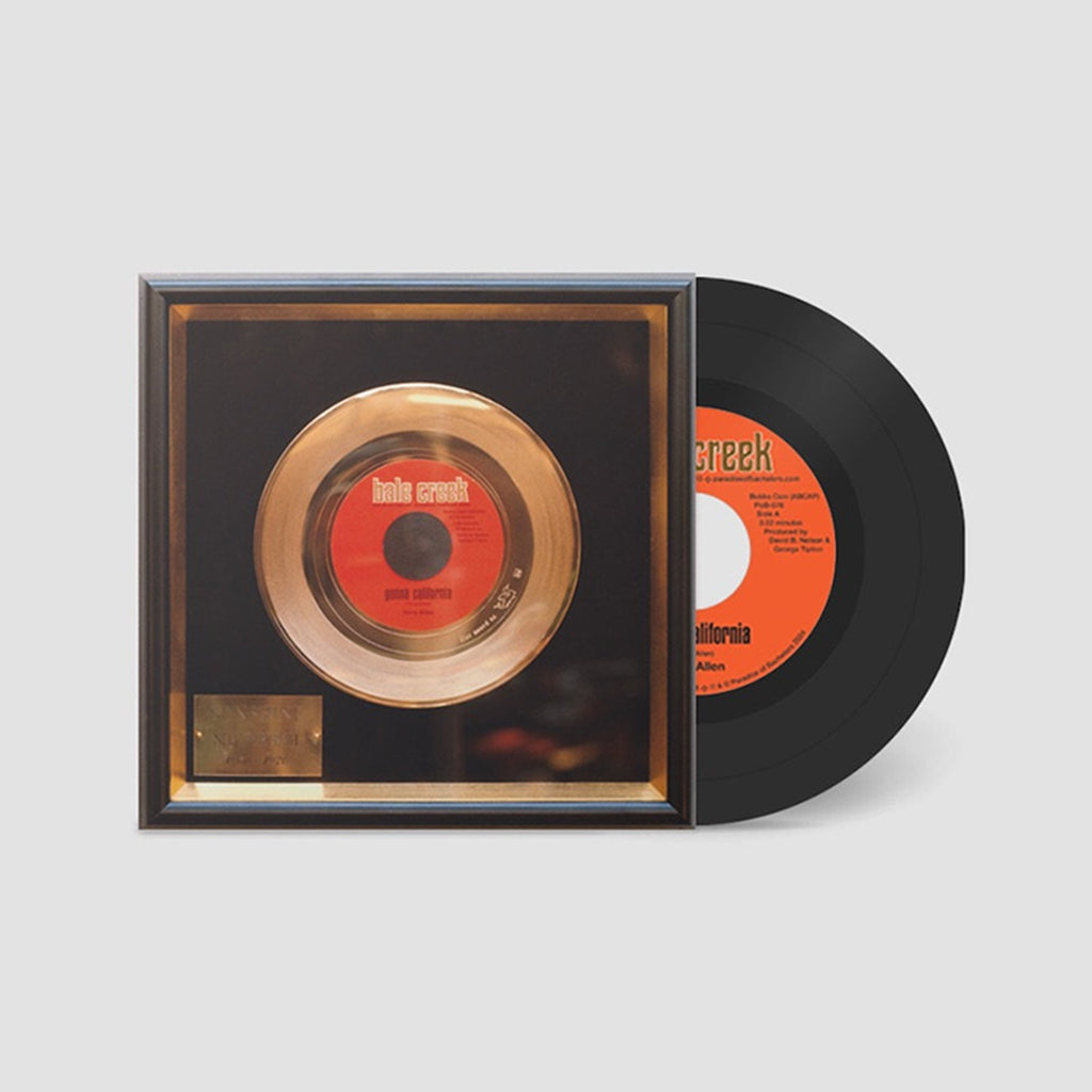TERRY ALLEN - Gonna California - 7'' - Deluxe Gatefold Vinyl