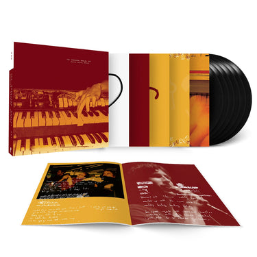 THE AMERICAN ANALOG SET - Destroy Destroy Destroy - 6LP - Black Vinyl Box Set