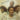 THE CLARK SISTERS - He Gave Me Nothing To Lose (2023 Reissue) - LP - Vinyl [MAY 26]