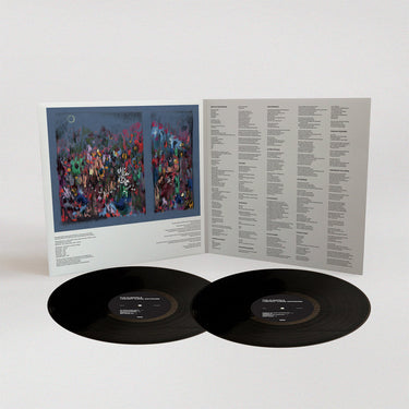 THE CLIENTELE - I Am Not There Anymore - 2LP - Gatefold Black Vinyl [JUL 28]