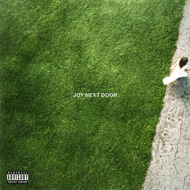 THE MAINE - Joy Next Door - LP - Green & White Split Coloured Vinyl