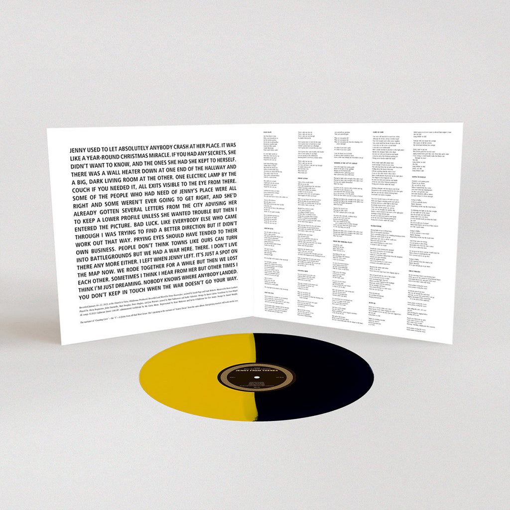 THE MOUNTAIN GOATS - Jenny from Thebes - LP - Yellow & Black Split Vinyl