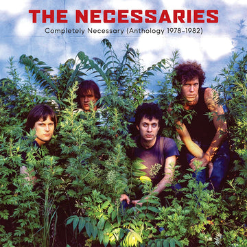 THE NECESSARIES - Completely Necessary (Anthology 1978-1982) - 3LP - Gatefold Vinyl [JAN 23]