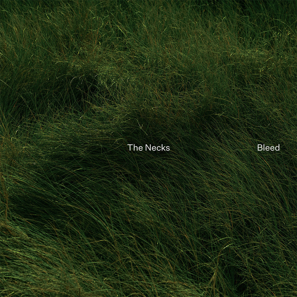 THE NECKS - Bleed - LP - Vinyl [NOV 1]