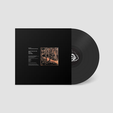 THE ORCHESTRA (FOR NOW) - Plan 75 - 12'' EP - Vinyl