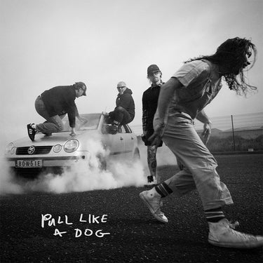 THE SCRATCH - Pull Like A Dog - CD [MAR 13]