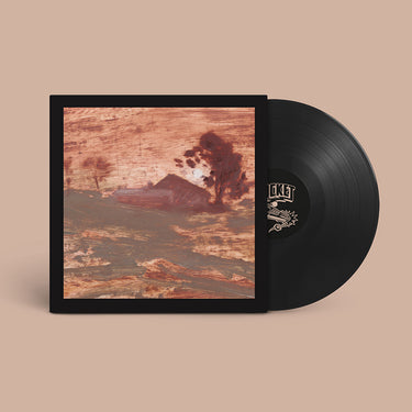 THE SHITS - Diet Of Worms - LP - Vinyl [APR 3]
