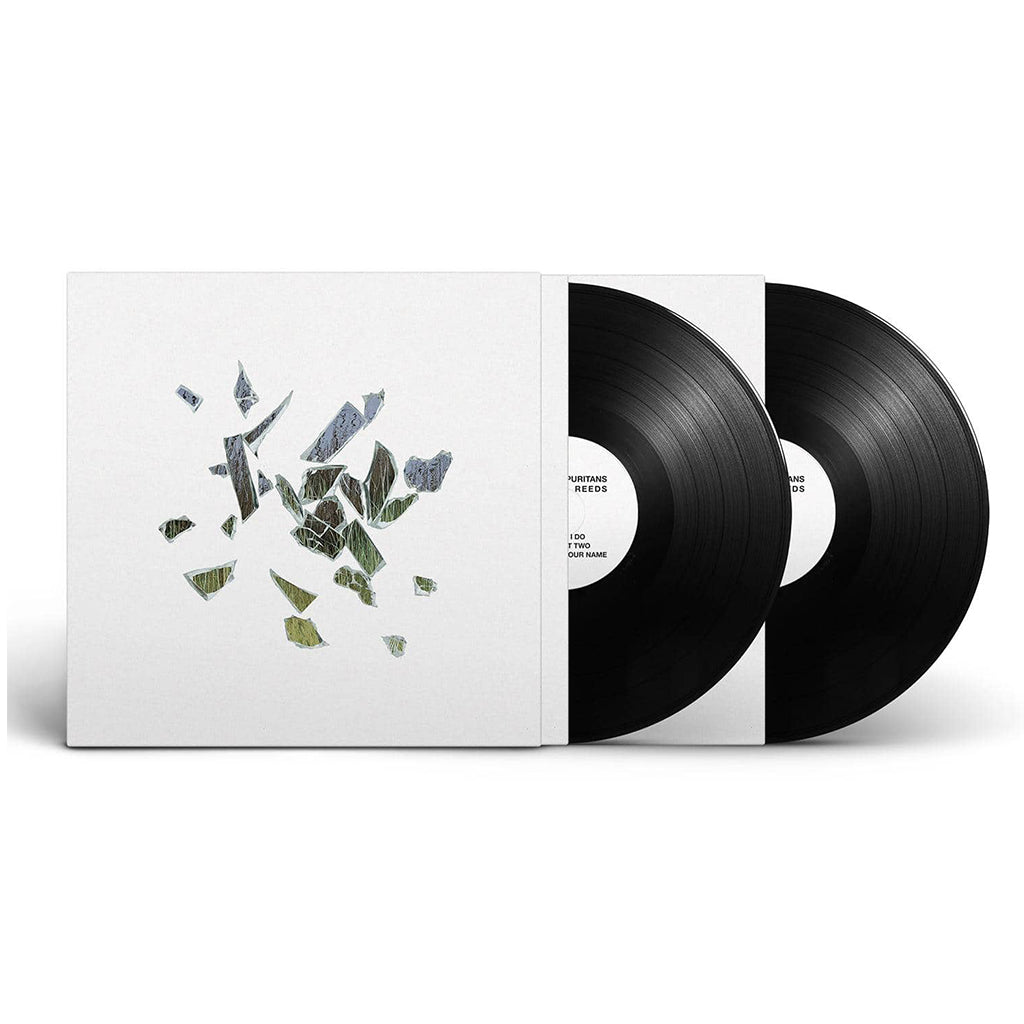 THESE NEW PURITANS - Field Of Reeds (10th Anniversary Edition With Etching) - 2LP - Vinyl [NOV 10]