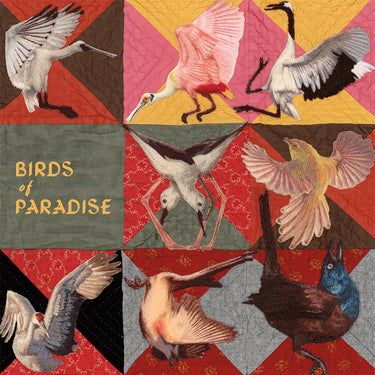 THOMAS DOLLBAUM - Birds Of Paradise - CD