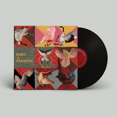 THOMAS DOLLBAUM - Birds Of Paradise - LP - Black Vinyl