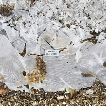 TIM BARNES - Lost Words - LP - Vinyl [JUN 27]