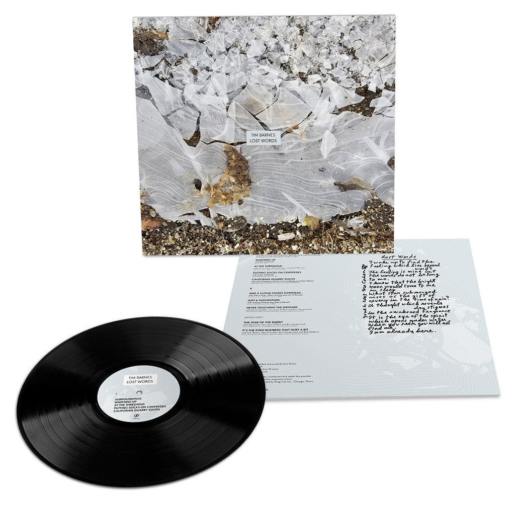 TIM BARNES - Lost Words - LP - Vinyl [JUN 27]