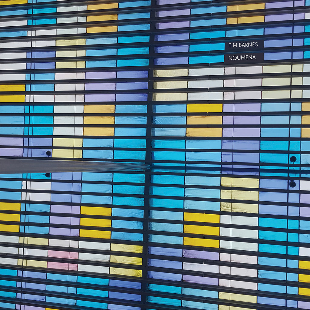 TIM BARNES - Noumena - LP - Vinyl [JUN 27]