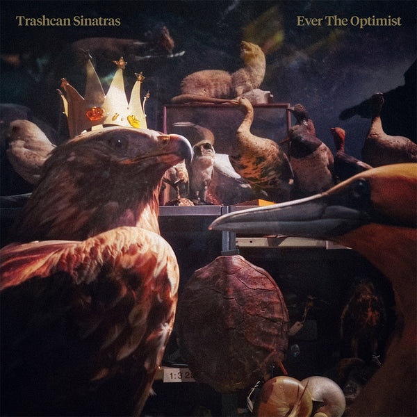 trash can sinatras デモ、B面2枚セット　+ ライブDVD1枚 TRASHCAN SINATRAS - Ever The Optmist - CD – Spindizzy Dublin