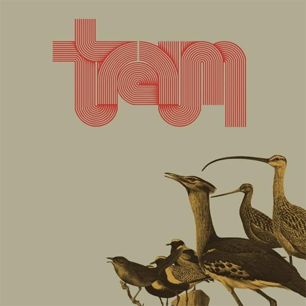 TRAUM - Traum - LP - Vinyl