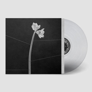 TRENTEMØLLER - Dreamweaver - LP - Crystal Clear Vinyl