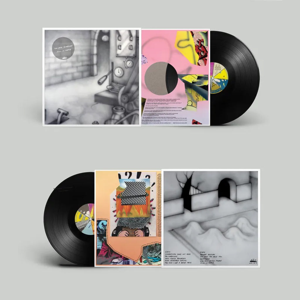 TWO LONE SWORDSMEN - Still My World (Repress) - LP - 180g Vinyl [JAN 31]