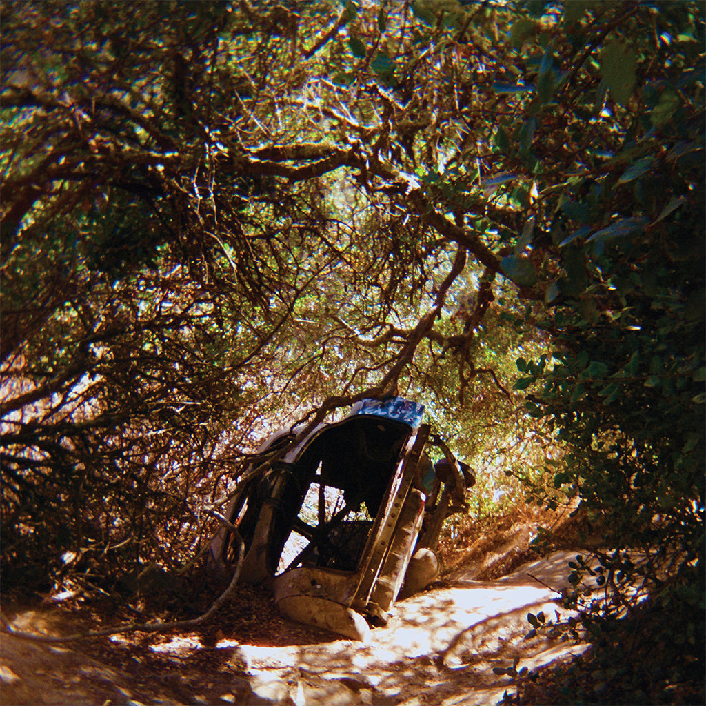 TY SEGALL - Possession - MC - Cassette Tape [MAY 30]