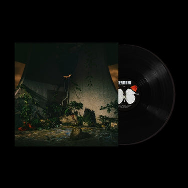 Black Vinyl LP