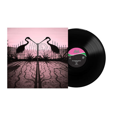 Black Vinyl LP