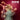 Jess Gillam - SHINE