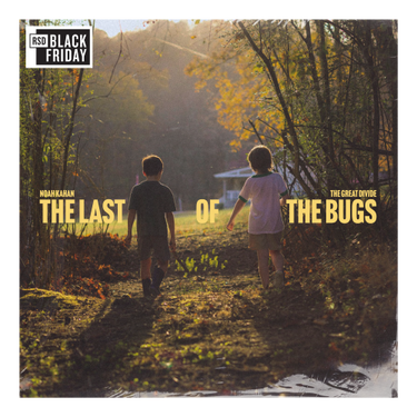 Noah Kahan - The Great Divide: The Last of the Bugs [RSD Black Friday 2026]