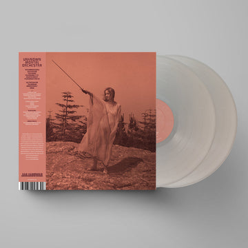 UNKNOWN MORTAL ORCHESTRA - II (10th Anniversary Expanded Edition) - 2LP - Metallic Silver Vinyl [NOV 17]