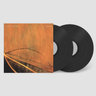 Vinyl 2LP