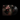 Black Vinyl LP