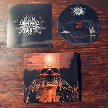 CD