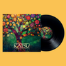 Black Vinyl LP