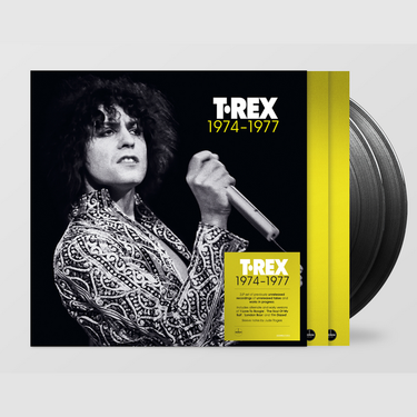 Vinyl 2LP