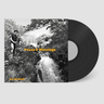 Vinyl LP