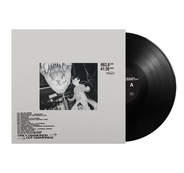 VEGYN - Only Diamonds Cut Diamonds (Repress) - 2LP - 180g Black Vinyl