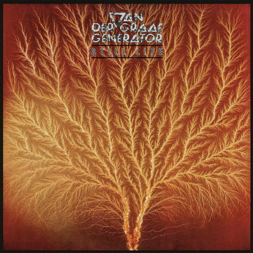 VAN DER GRAAF GENERATOR - Still Life (Remastered) - LP - Vinyl