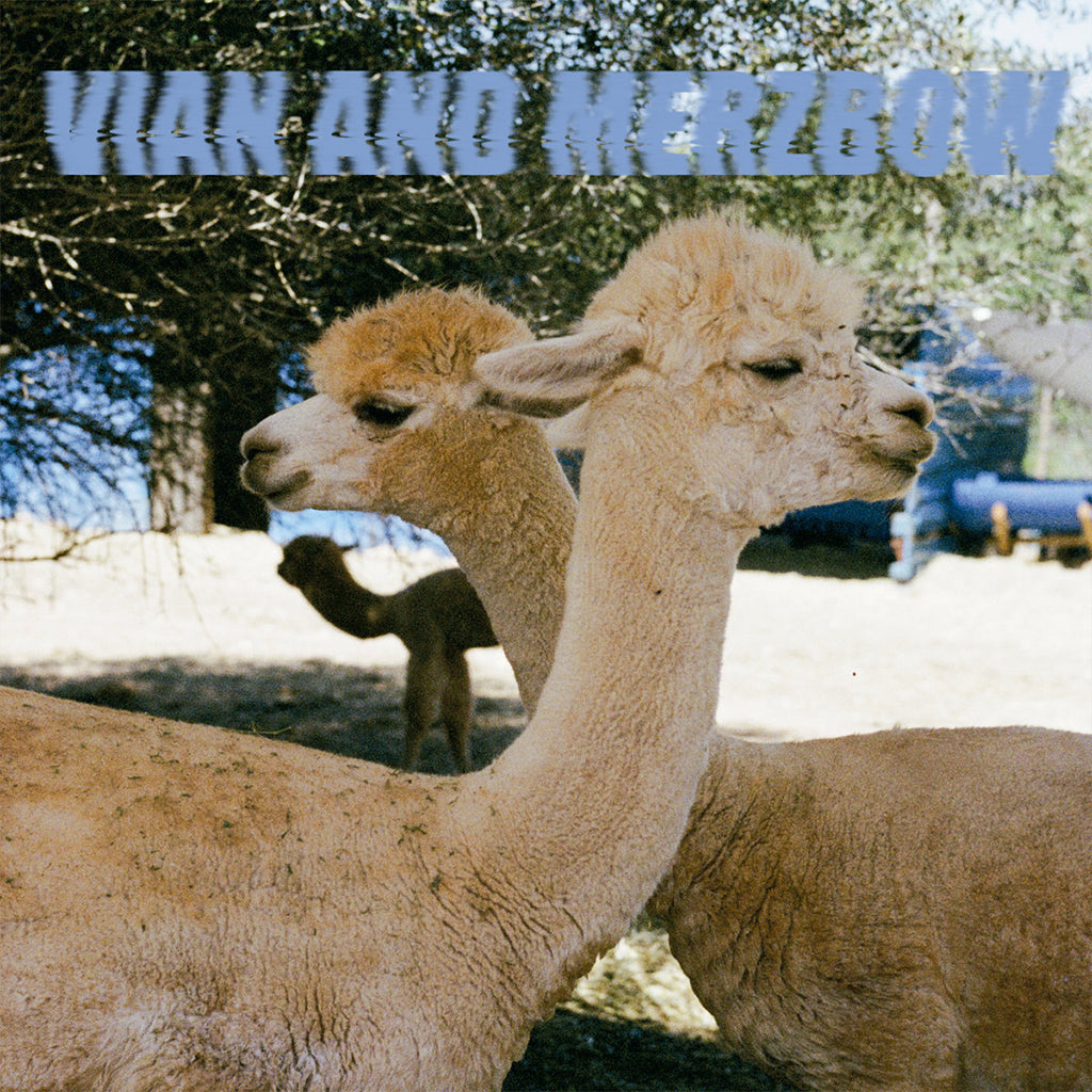 VIAN AND MERZBOW - Inside Richard Serra Sculptures - LP - Transparent Vinyl