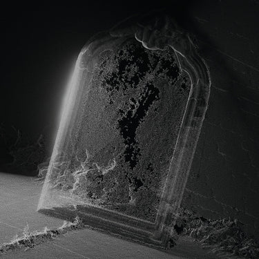 VISIBLE CLOAKS - Paradessence - LP - Black Vinyl