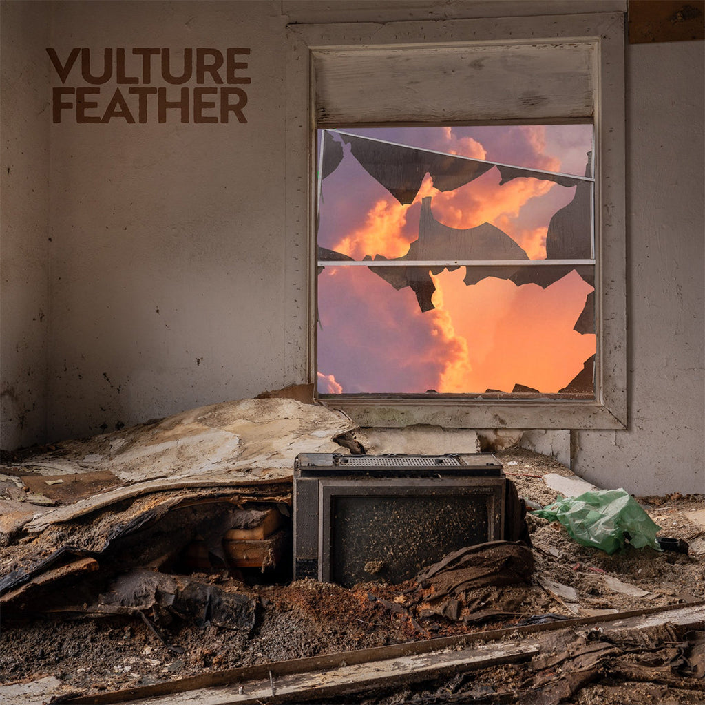 VULTURE FEATHER - It Will Be Like Now - LP - 'Rose' Coloured Vinyl [FEB 14]