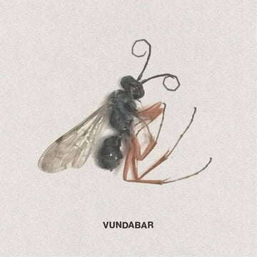 VUNDABAR - Good Old (Repress) - LP - Citrus Coloured Vinyl [FEB 14]