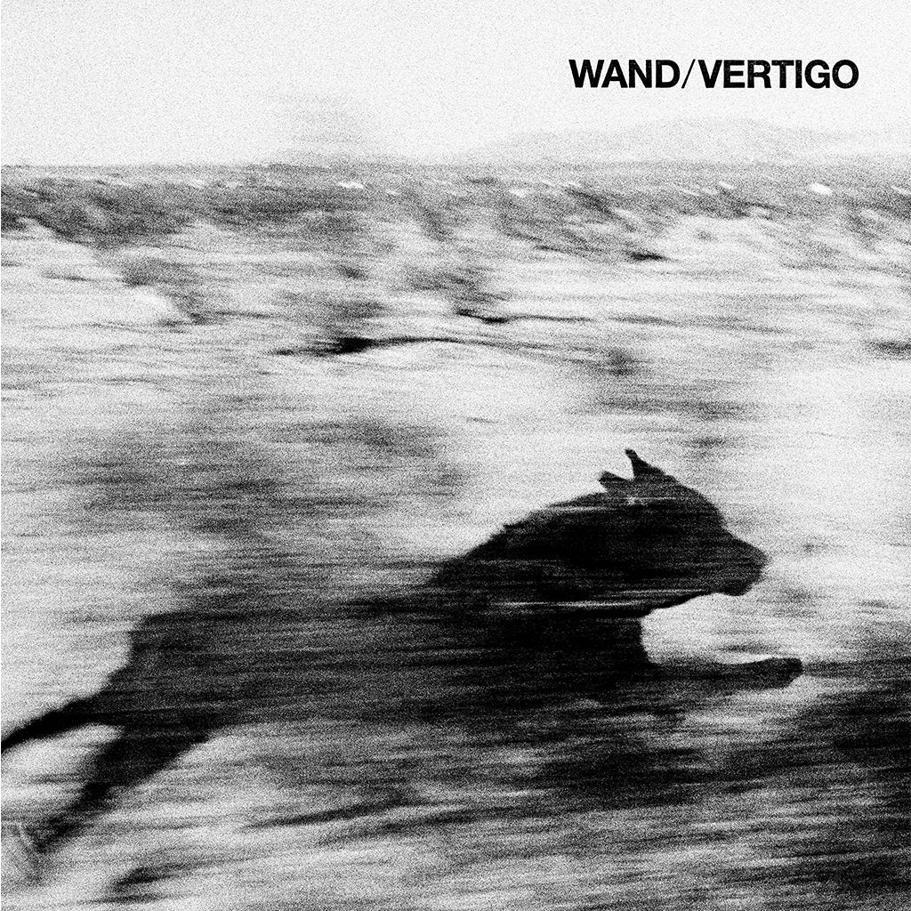 WAND - Vertigo - LP - Vinyl