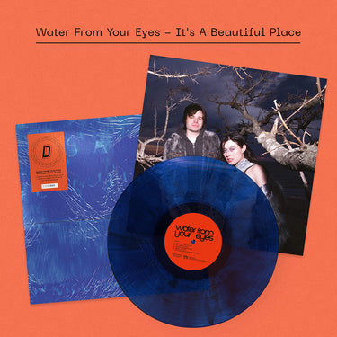 WATER FROM YOUR EYES - It’s A Beautiful Place - LP - Vinyl - Dinked Edition #350
