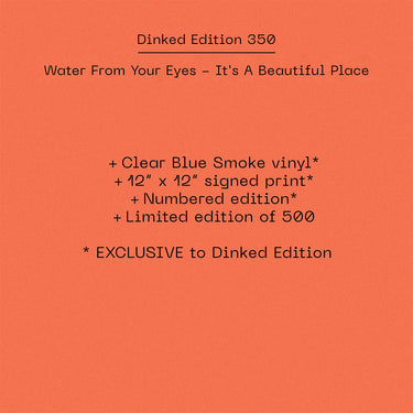 WATER FROM YOUR EYES - It’s A Beautiful Place - LP - Vinyl - Dinked Edition #350