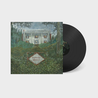 WEIRS - Diamond Grove - LP - Vinyl [OCT 3]
