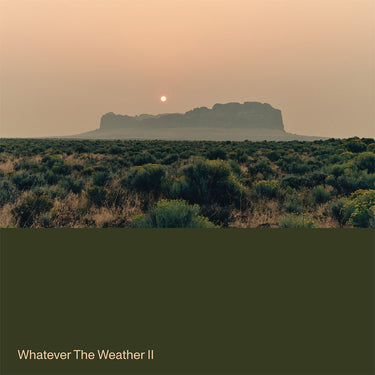 WHATEVER THE WEATHER - Whatever The Weather II - LP - Dark Green Vinyl